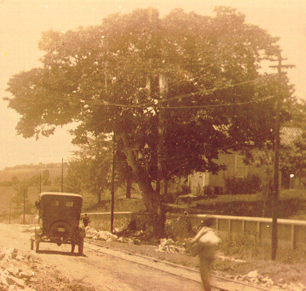 O Jatoba junto ao muro do instituto Gammon nos anos 20