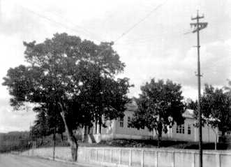 Jatoba junto ao muro do instituto Gammon